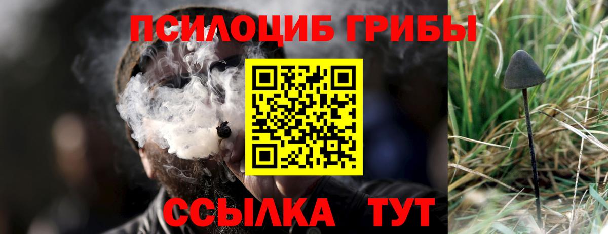 Псилоцибиновые грибы Cubensis  Вход с VPN  где найти наркотики  Искитим  Галлюциногенные грибы Magic Shrooms 
