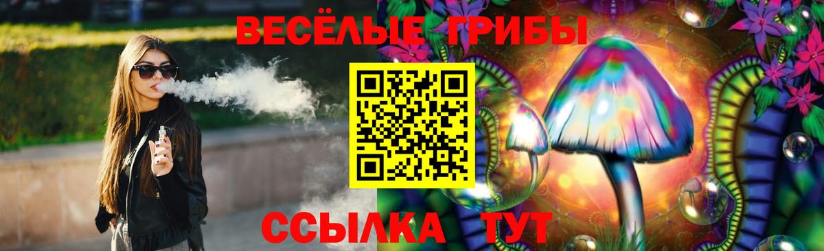 Псилоцибиновые грибы Psilocybe Искитим